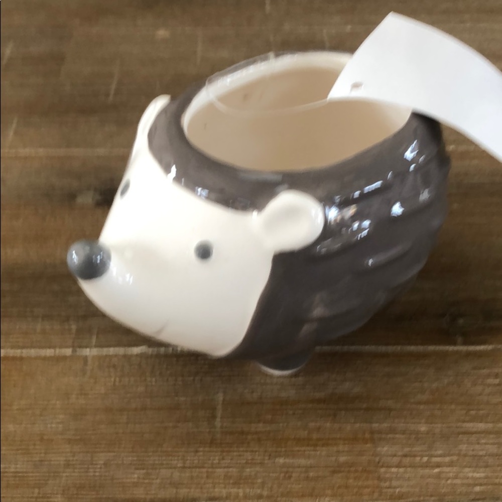 Mini planter HEDGEHOG NEW gift to hold stuff - Picture 2 of 5